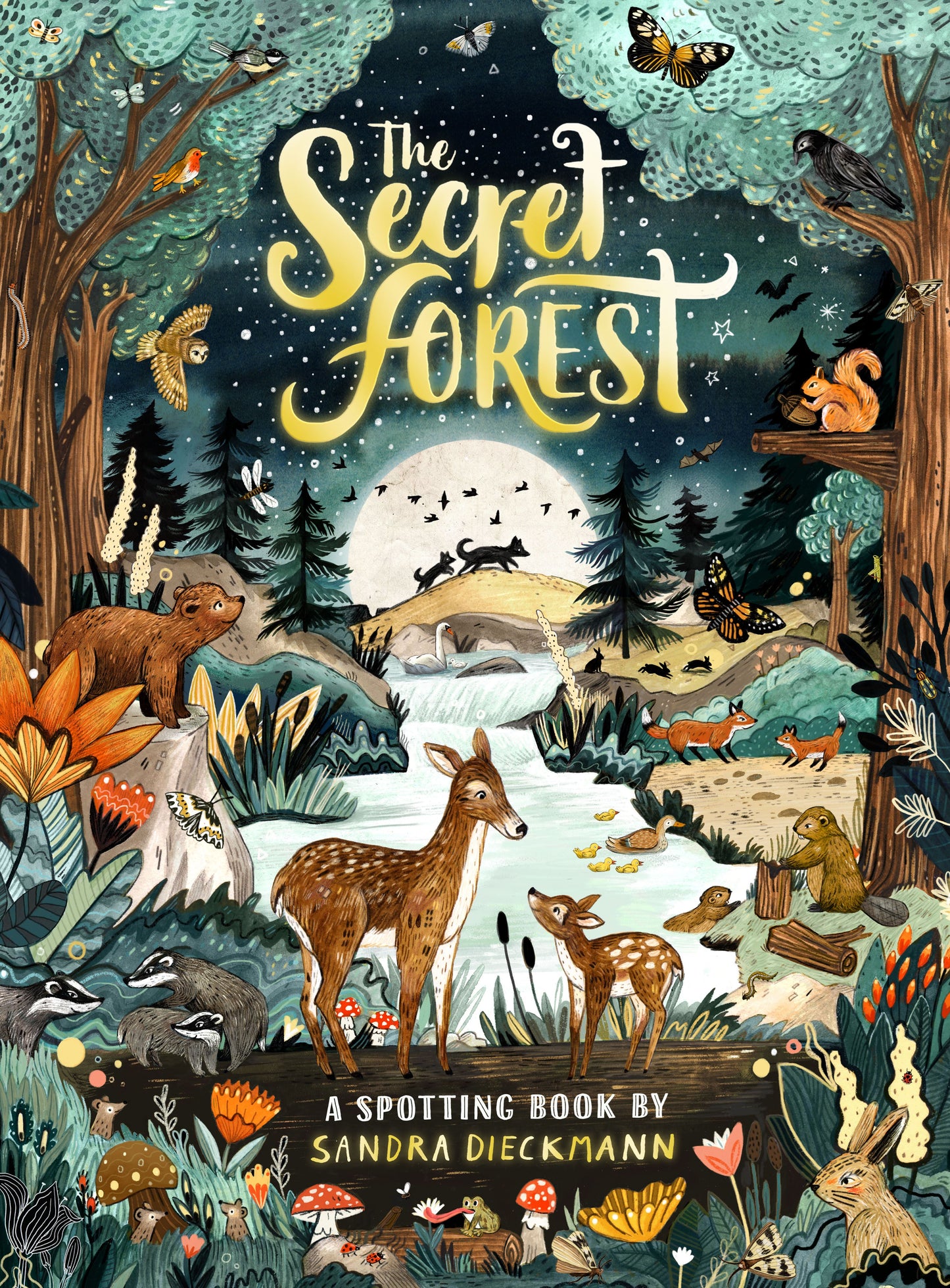 Secret Forest : A Spotting Book - Sandra Dieckmann