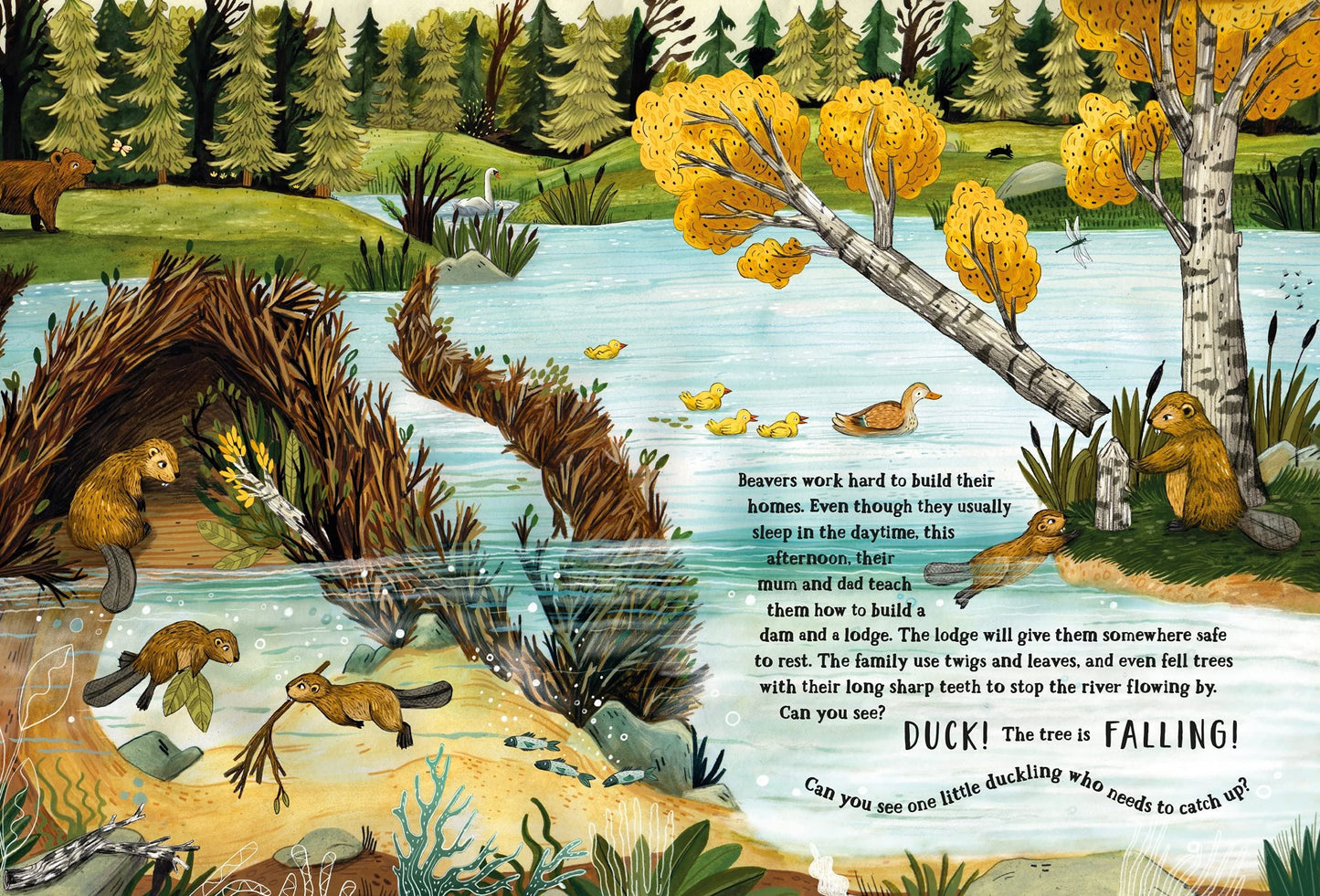Secret Forest : A Spotting Book - Sandra Dieckmann