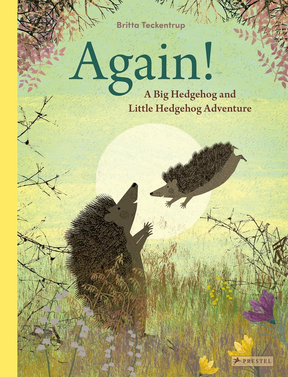 Again! (Big Hedgehog and Little Hedgehog) - Britta Teckentrup
