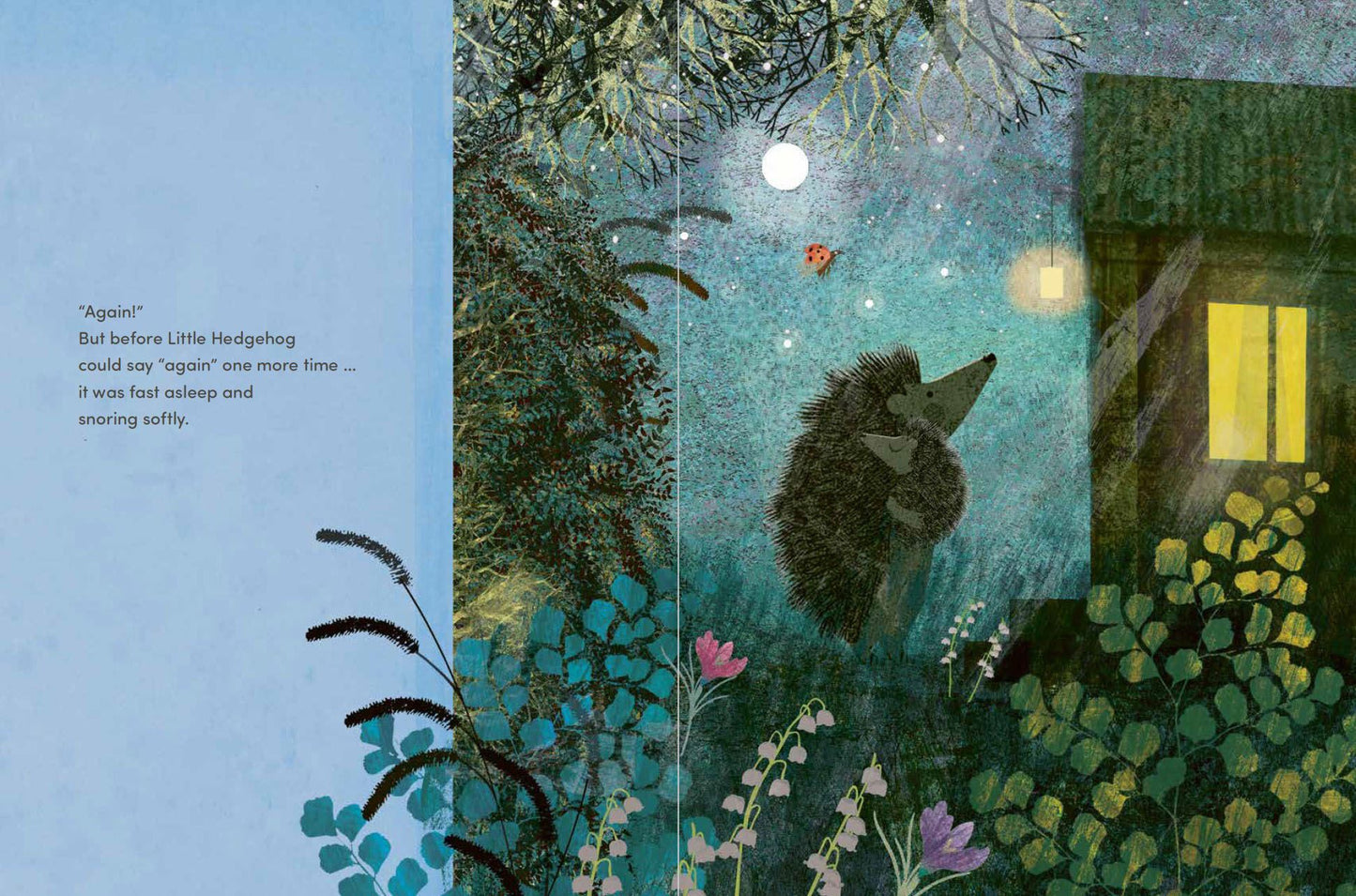 Again! (Big Hedgehog and Little Hedgehog) - Britta Teckentrup