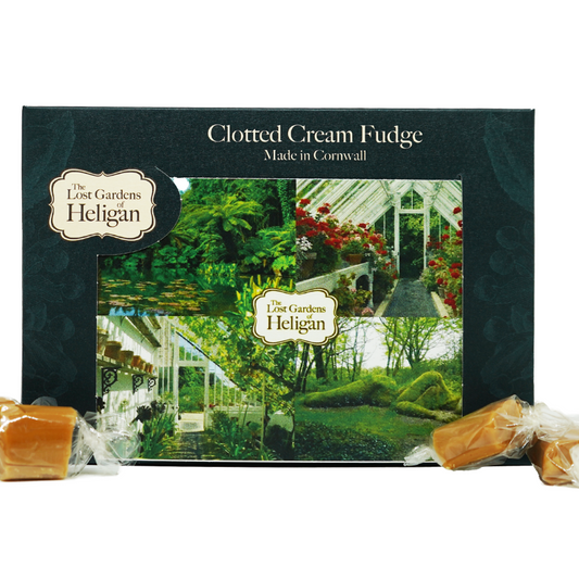 Clotted Cream Fudge Gift Box