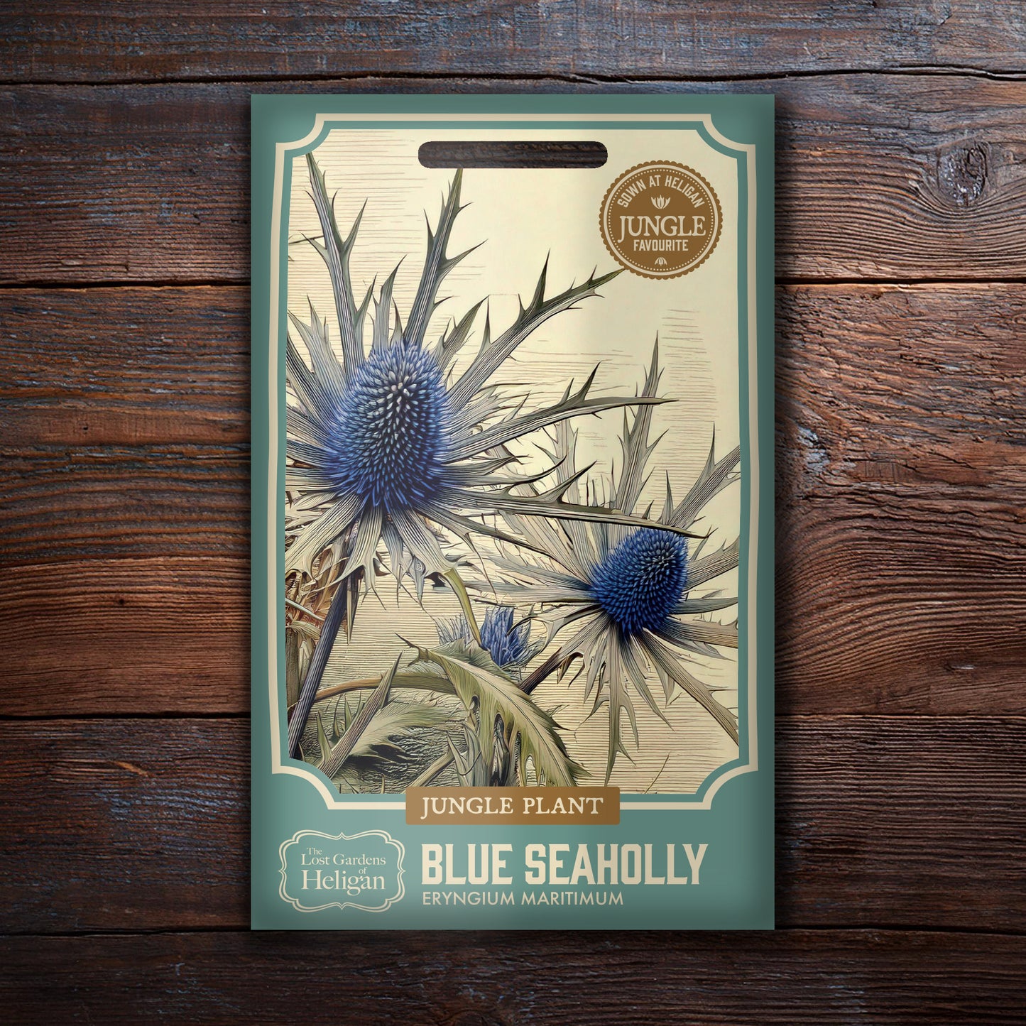 Seaholly