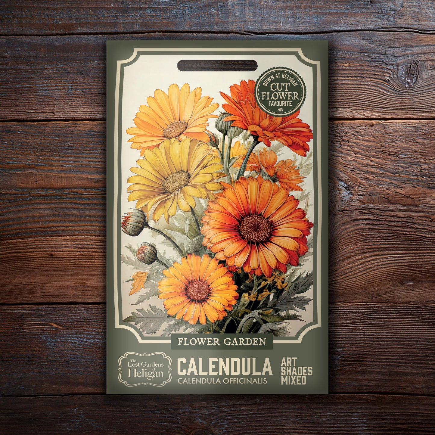 Calendula Art Shades