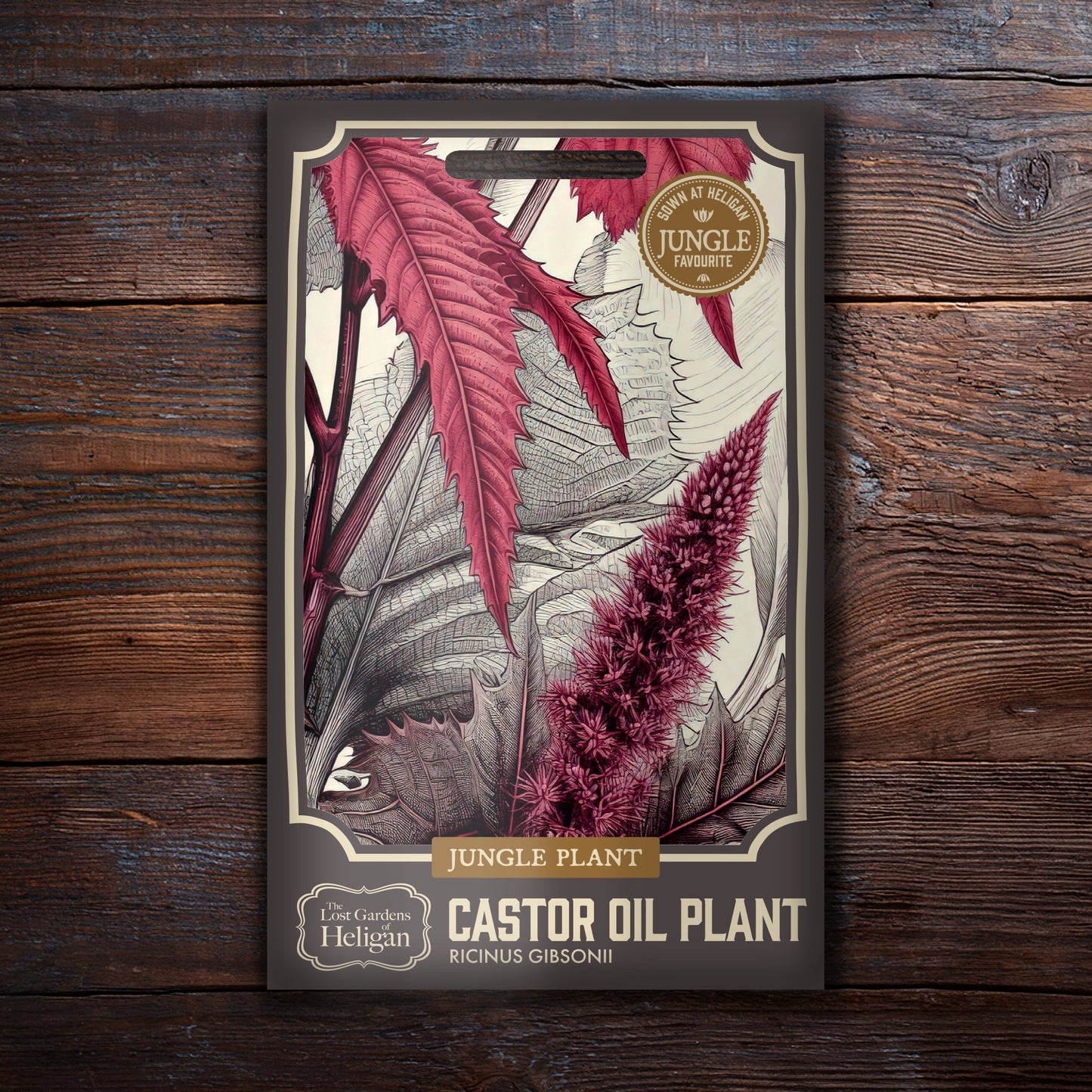 Castor Oil Plant
