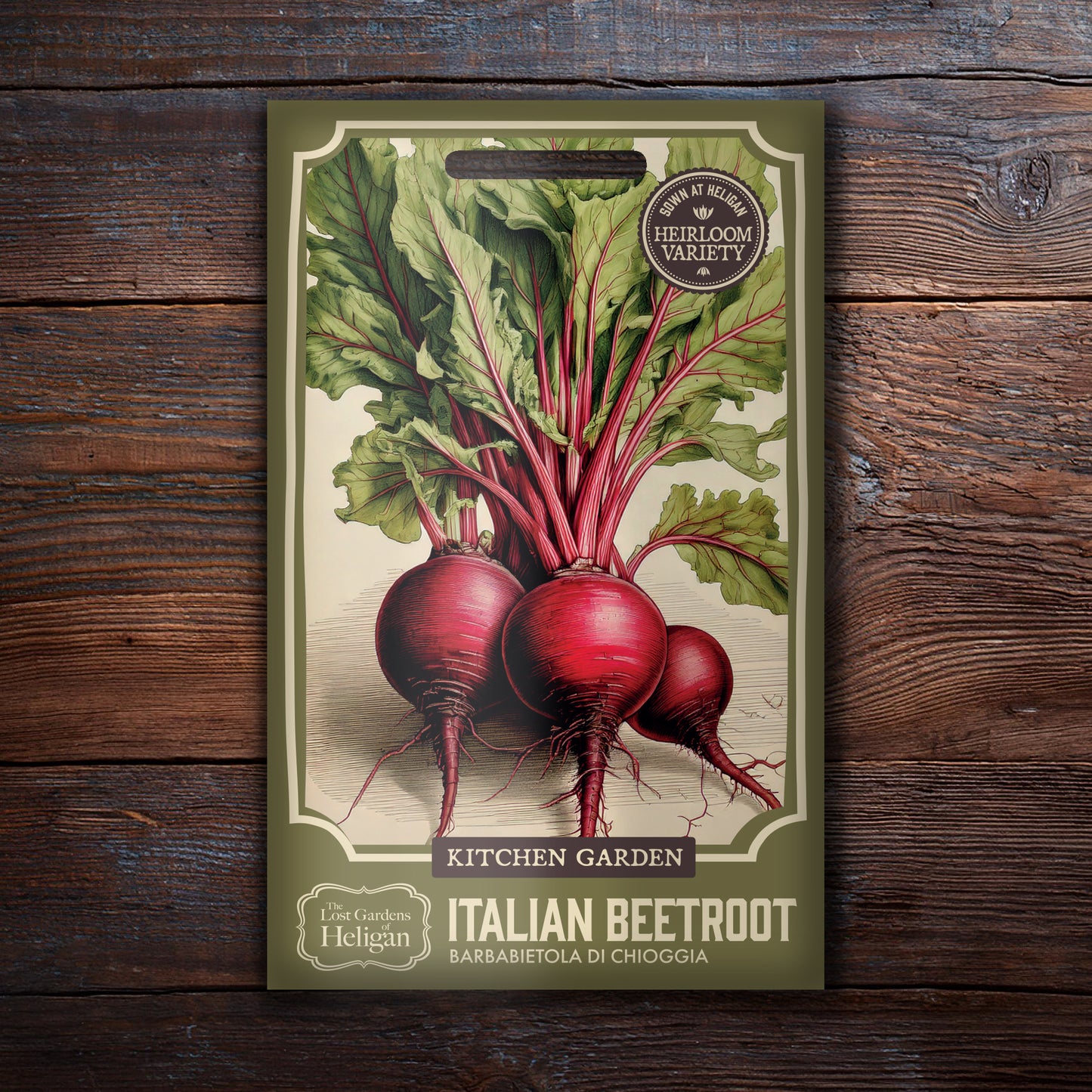 Beet Chioggia Barbietola