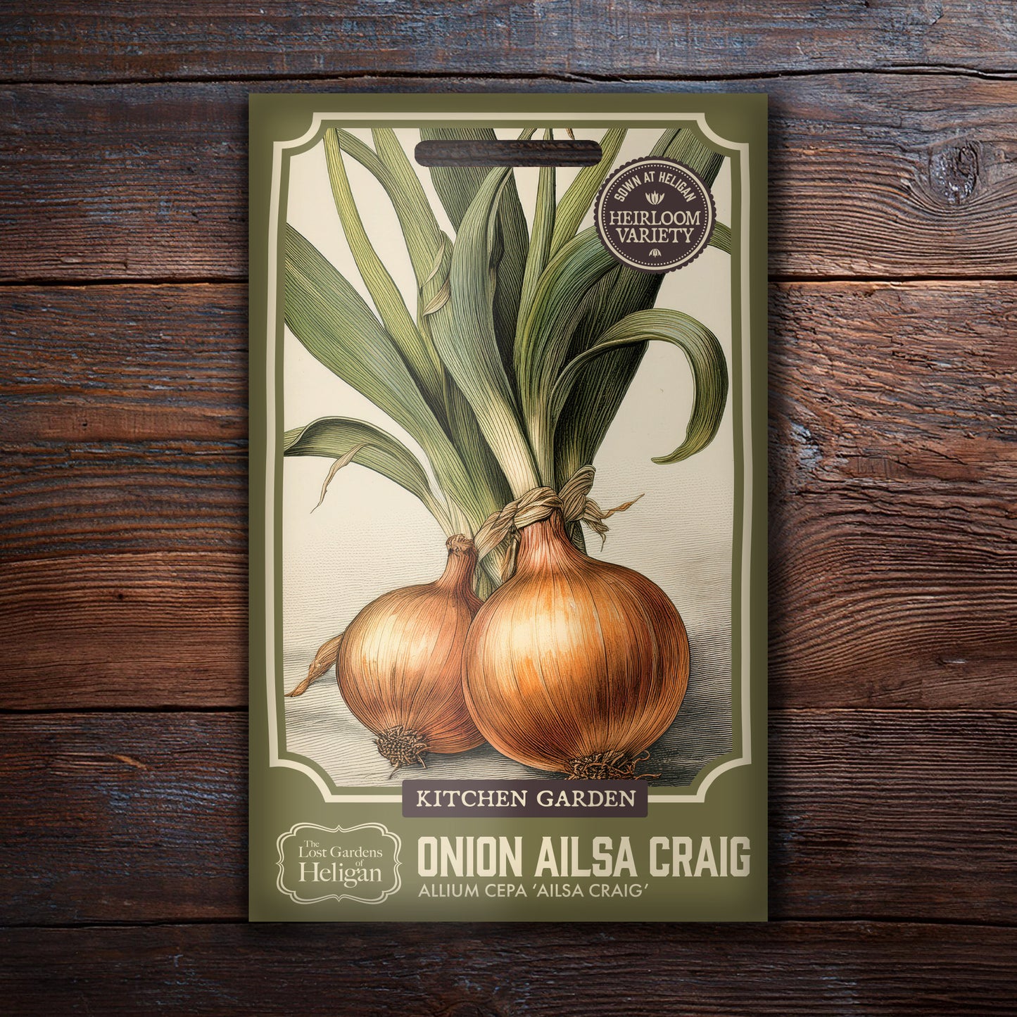 Onion Ailsa Craig