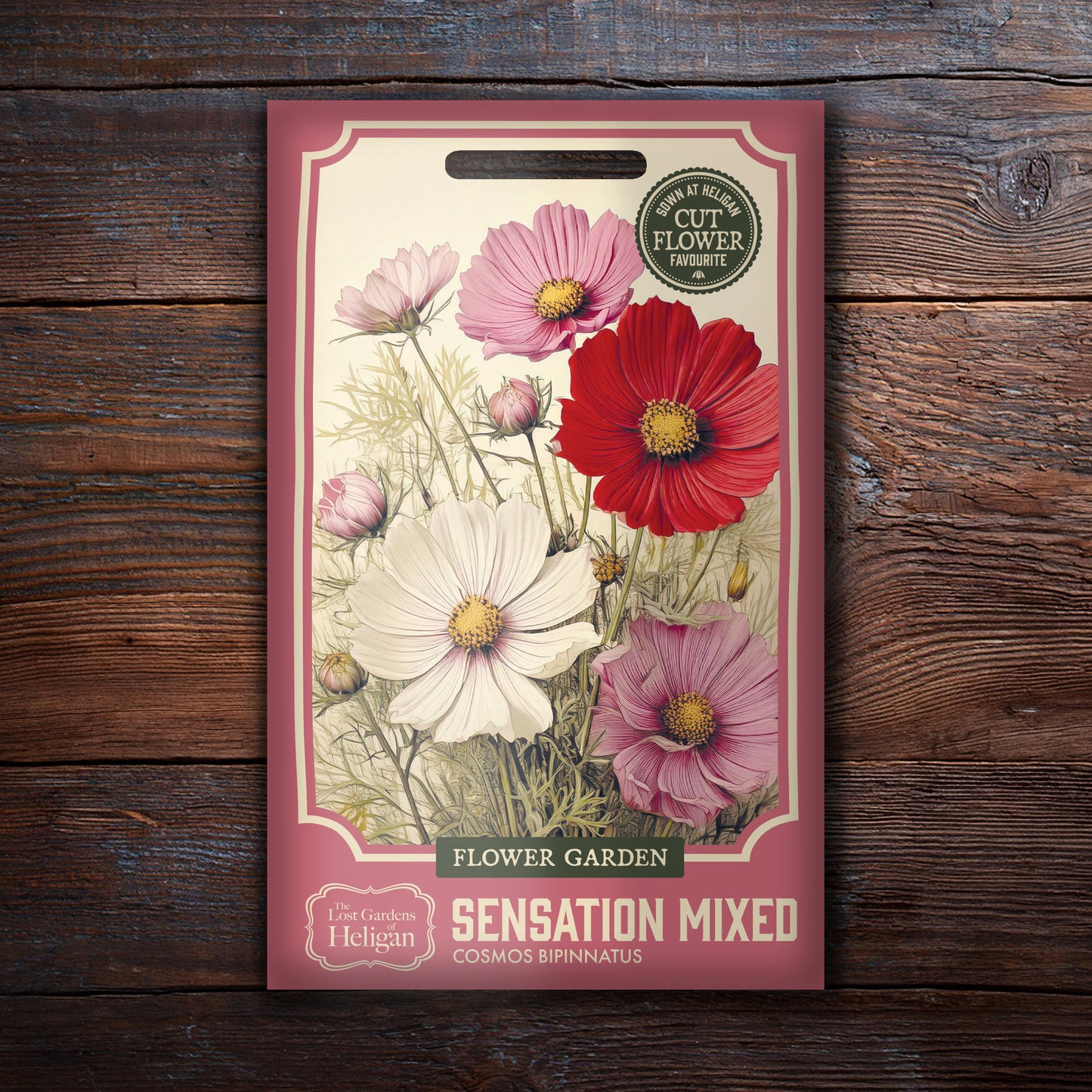 Cosmos Sensation Mixed