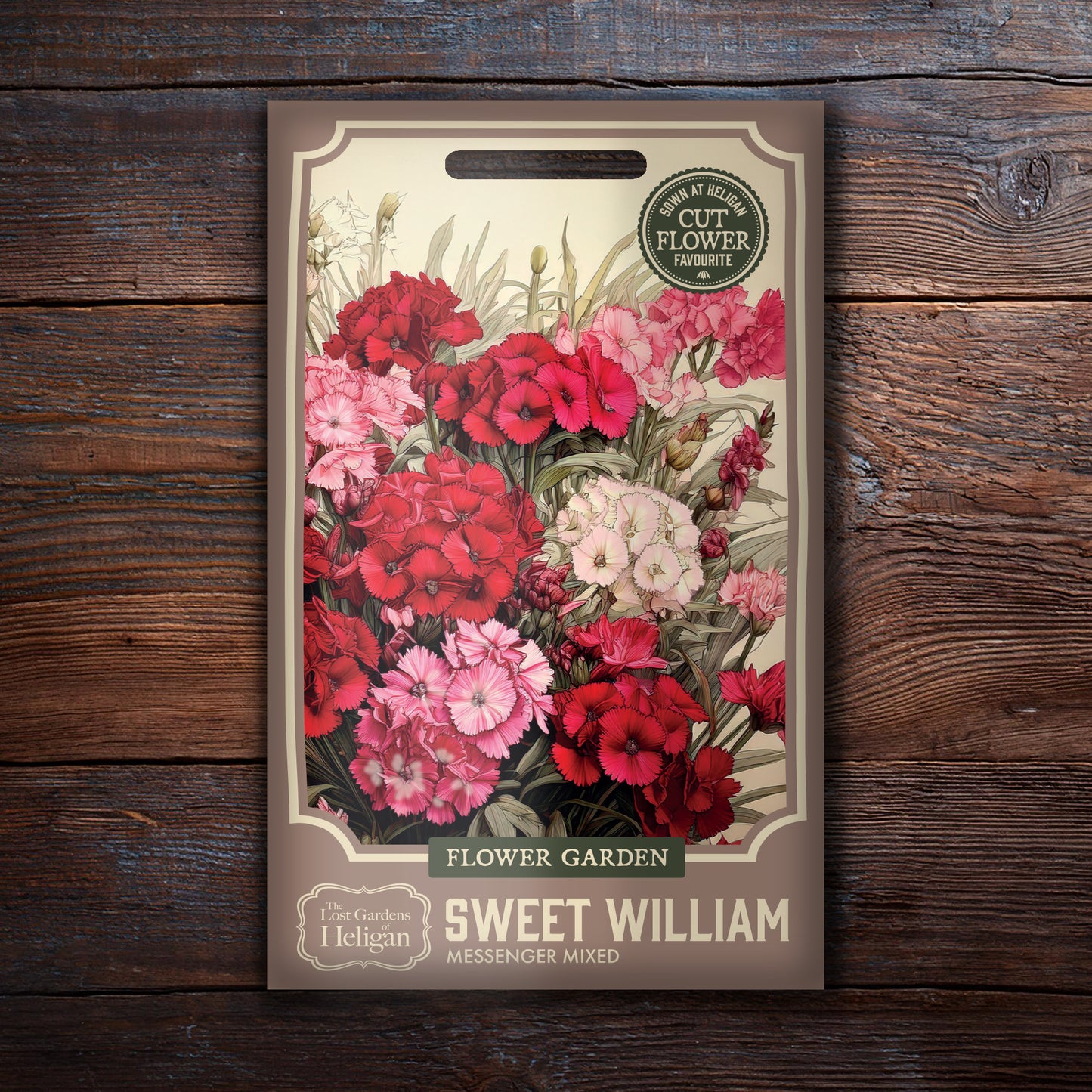 Sweet William