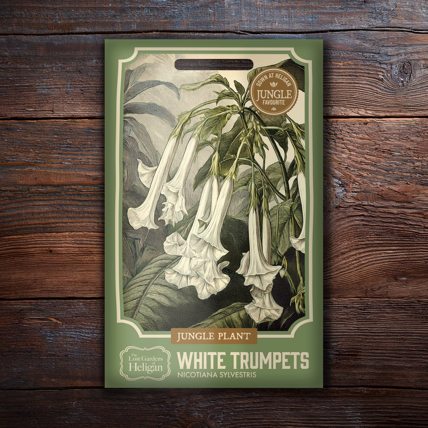 Nicotiana White Trumepts