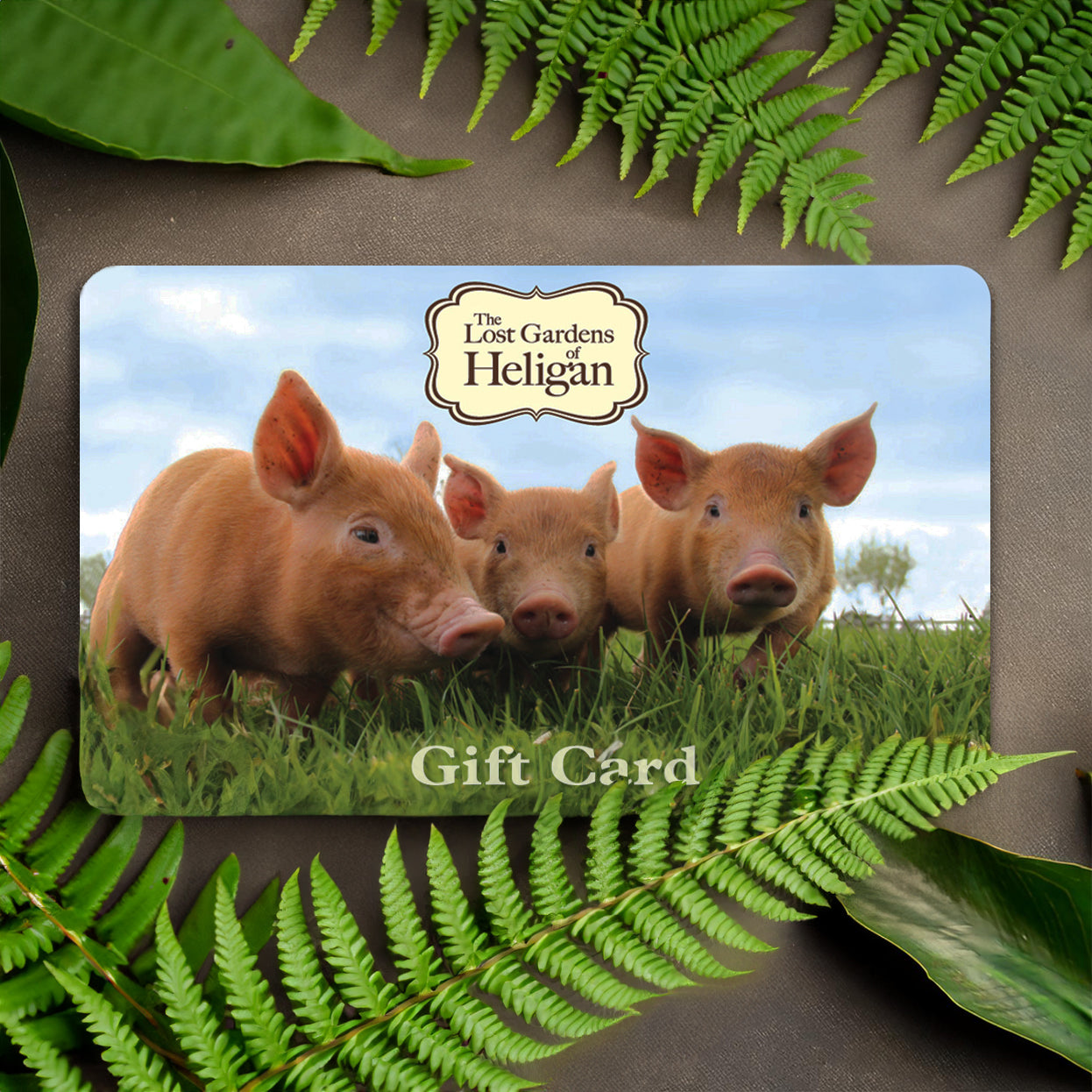 Heligan Gift Card - £75