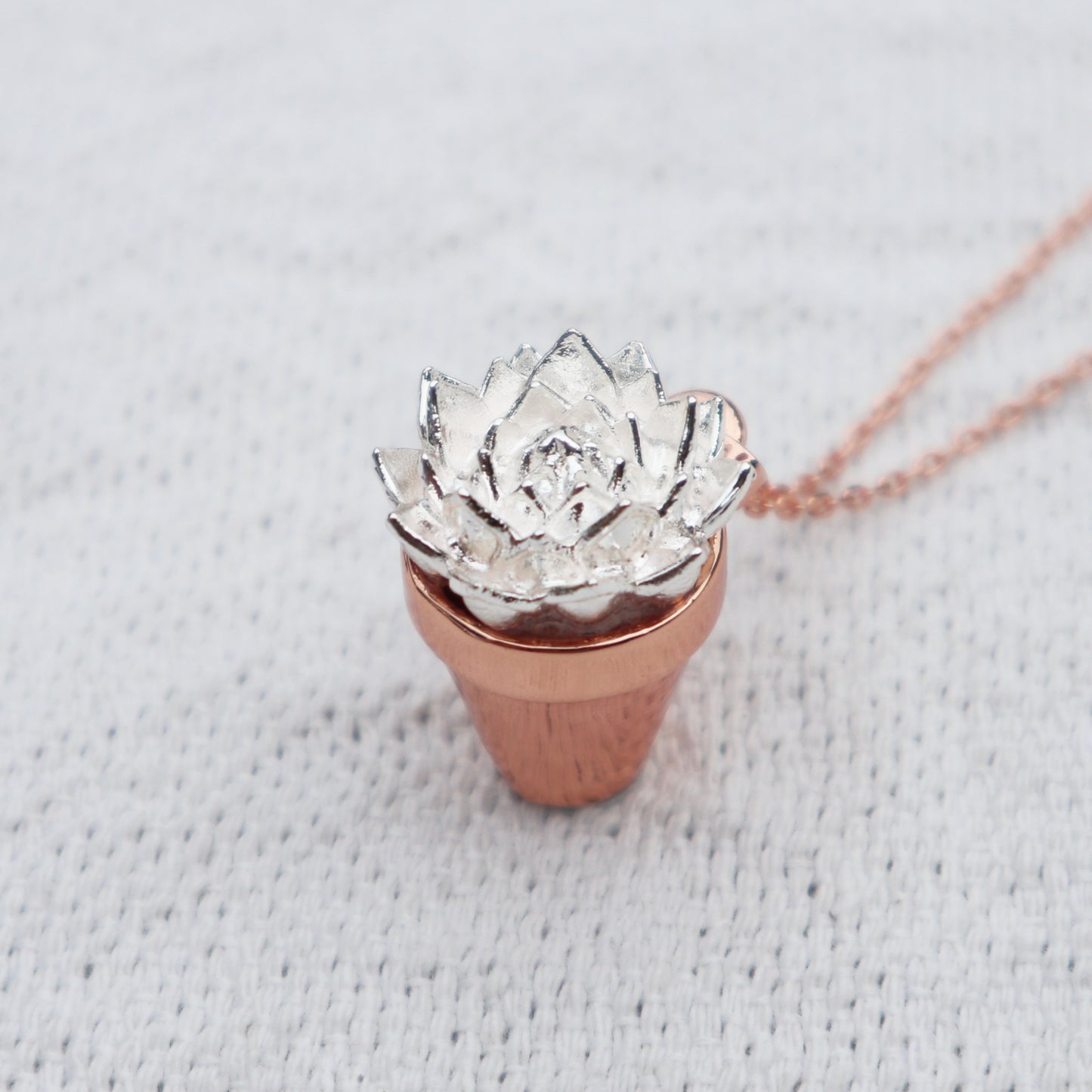Succulent Pendant