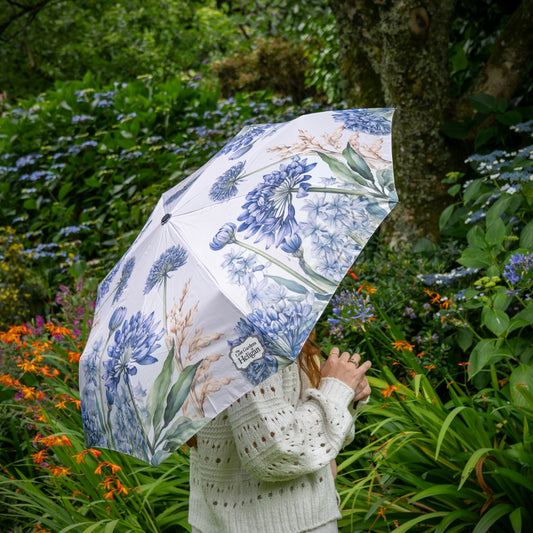 Heligan Agapanthus Umbrella