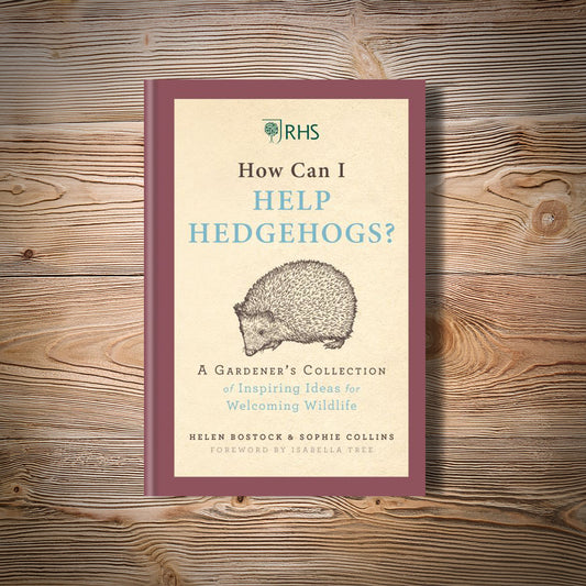 How Can I Help Hedgehogs: A Gardener's Collection