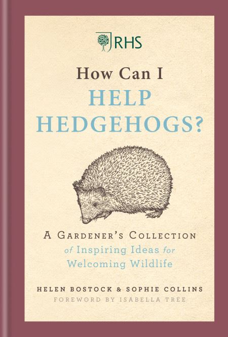 How Can I Help Hedgehogs: A Gardener's Collection