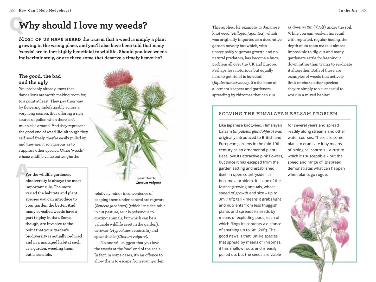 How Can I Help Hedgehogs: A Gardener's Collection