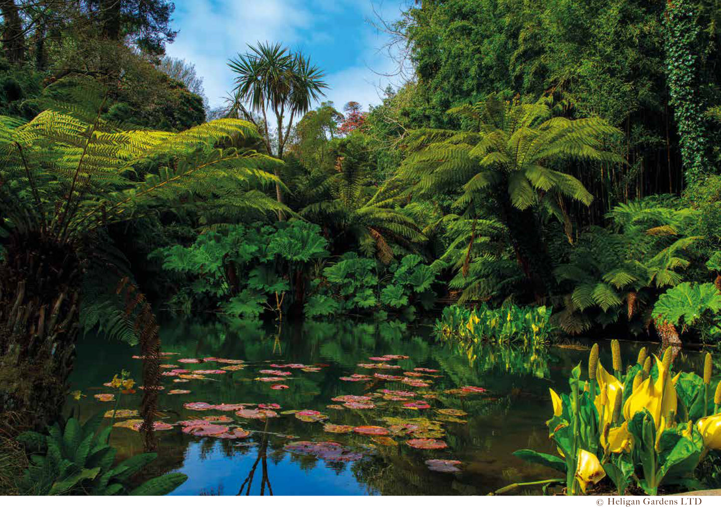 2025, Heligan Calendar