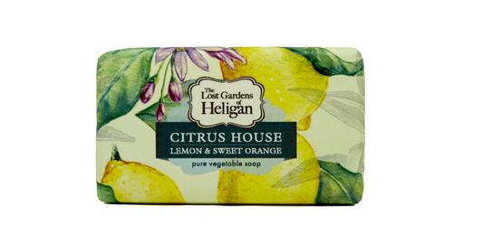 Citrus House Soap Bar
