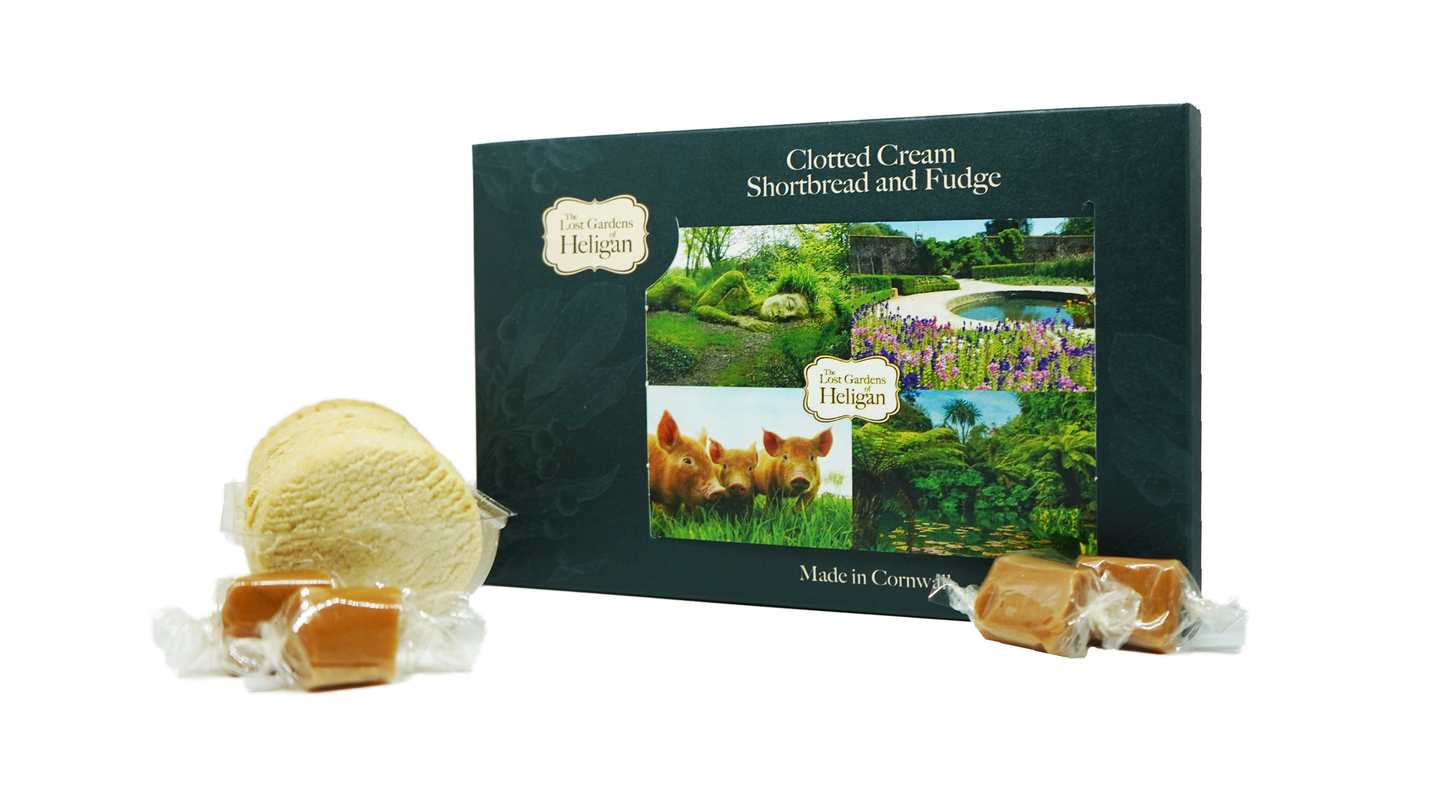 Clotted Cream Shortbread and Fudge Giftbox