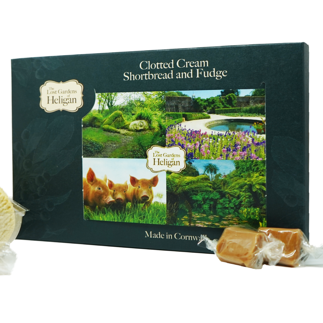 Clotted Cream Shortbread and Fudge Giftbox