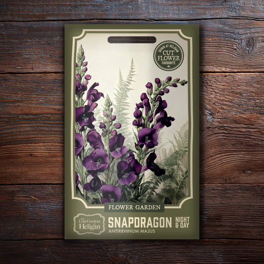 Growing and Caring for Snapdragon (Antirrhinum majus) from Seed