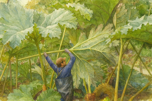 Cutting Back the Giants in The Jungle
