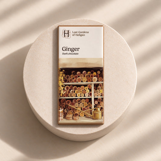 Dark Chocolate with Ginger