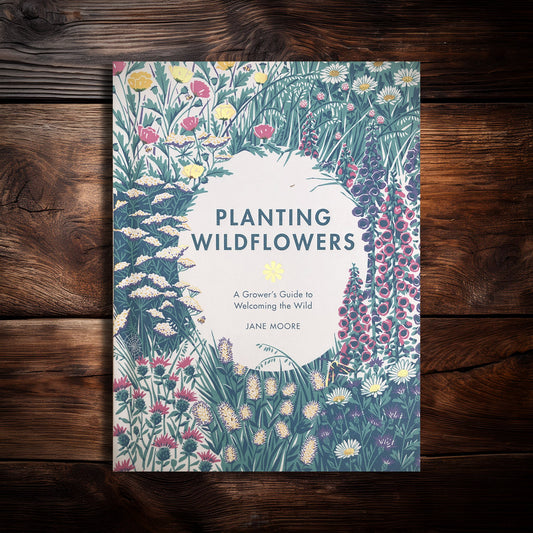 Planting Wildflowers