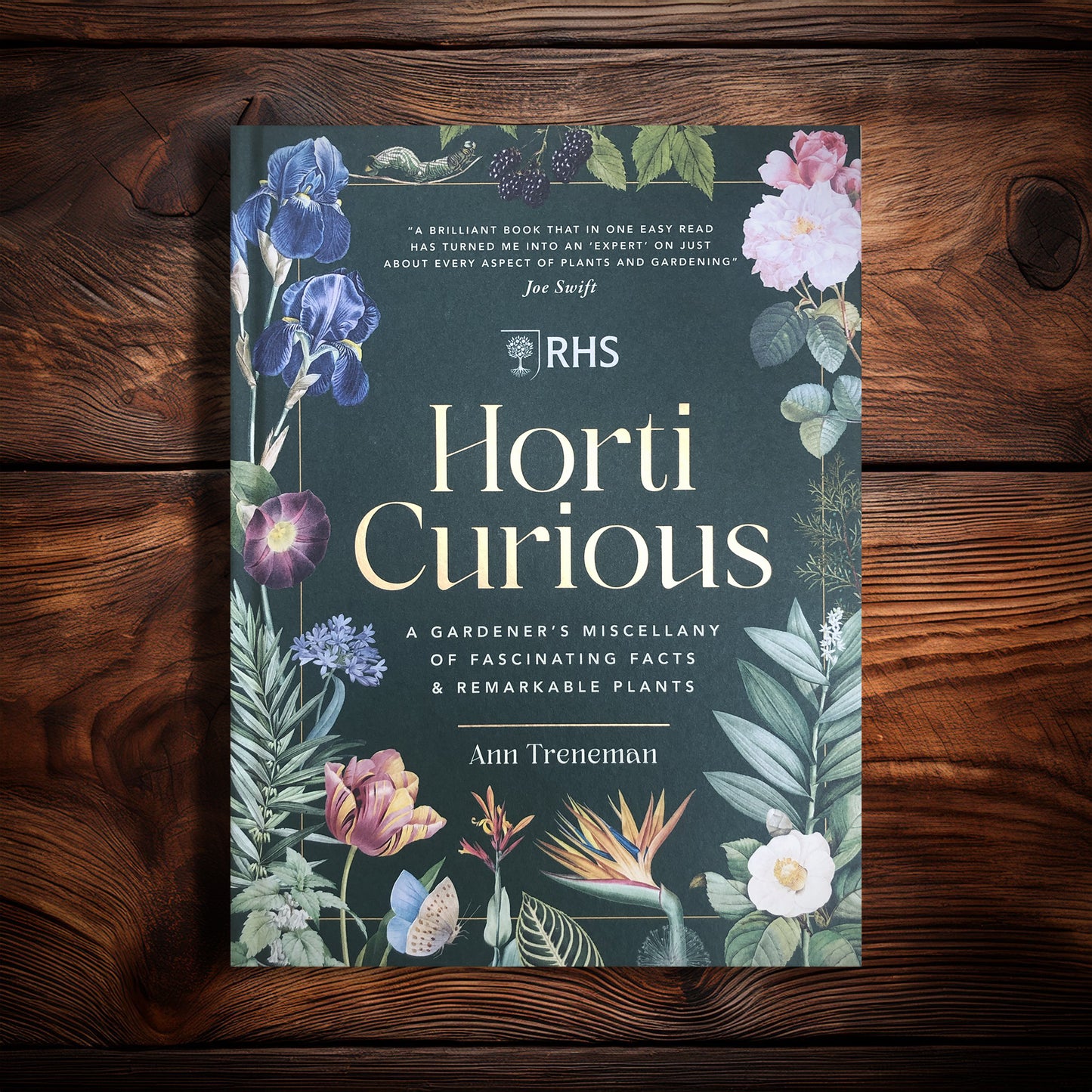 Horti Curious