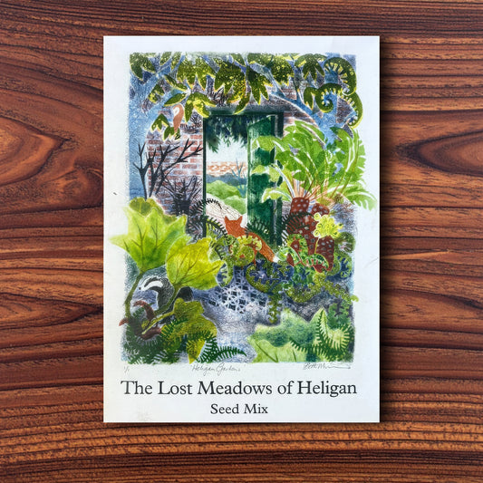Limited Edition Beth Munro Wildflower Seeds