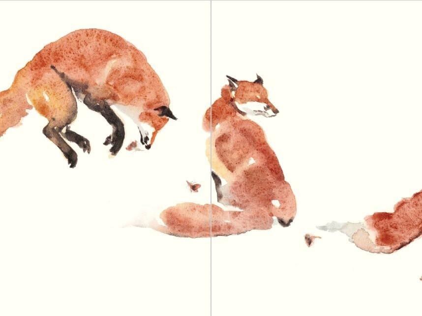 Fox - Jackie Morris Concertina