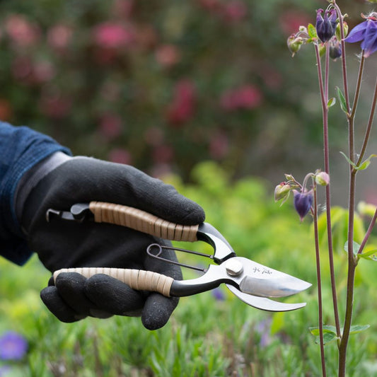 Niwaki Fujimaki Rattan Secateurs