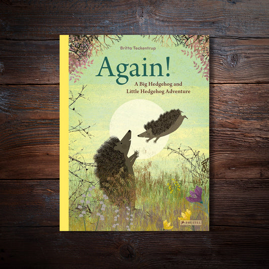 Again! (Big Hedgehog and Little Hedgehog) - Britta Teckentrup