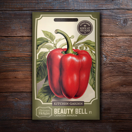 Beauty Bell F1 Sweet Pepper