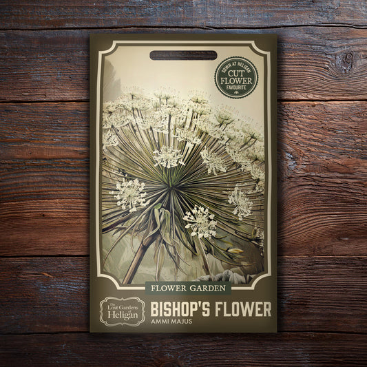 Bishop's Flower