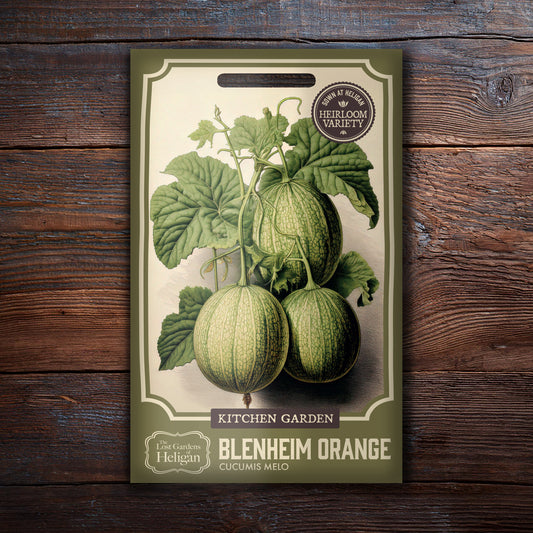 Melon Blenheim Orange