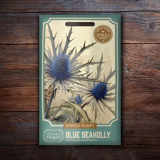 Seaholly