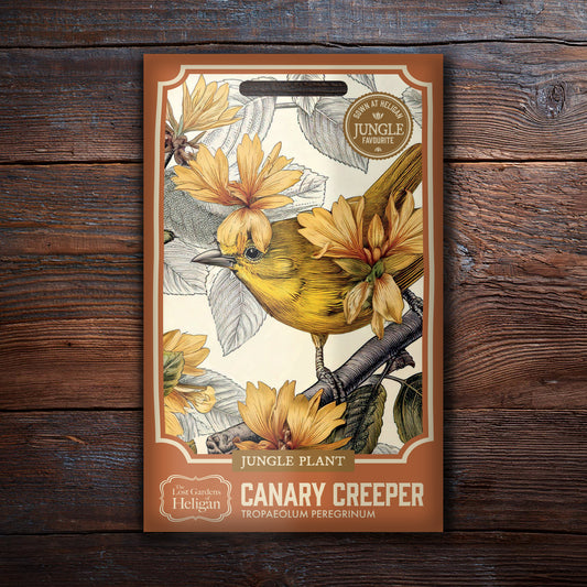Canary Creeper