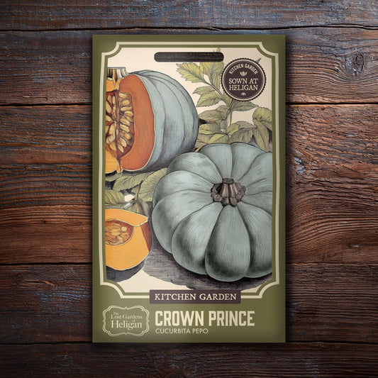 Squash Crown Prince