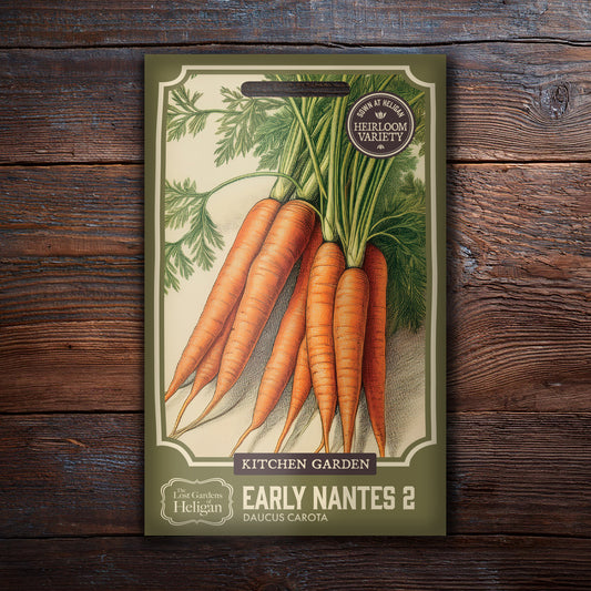 Carrot Early Nantes