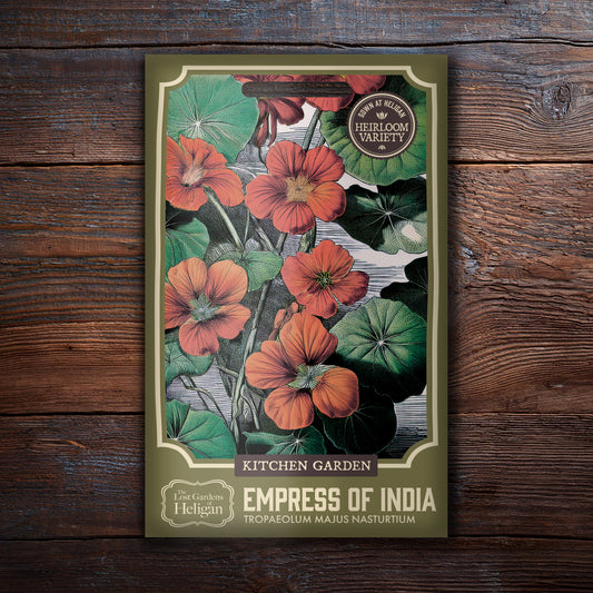 Nasturtium Empress of India