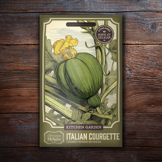 Italian Courgette