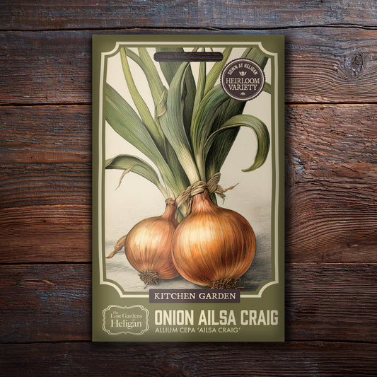 Onion Ailsa Craig