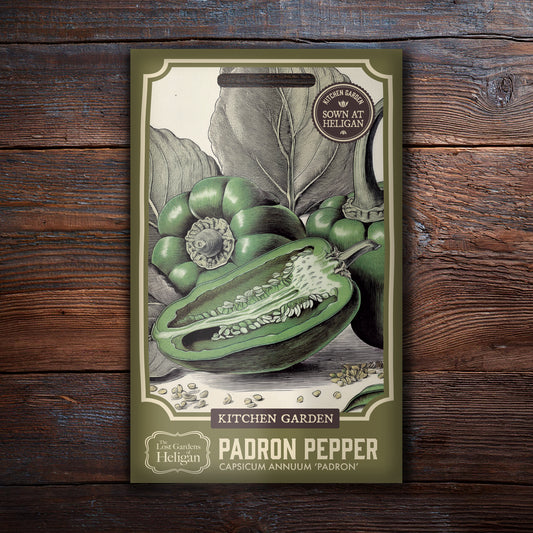 Padron Pepper