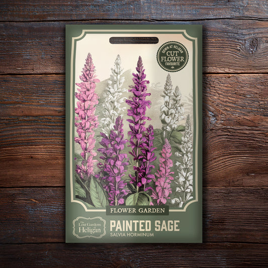 Painted Sage