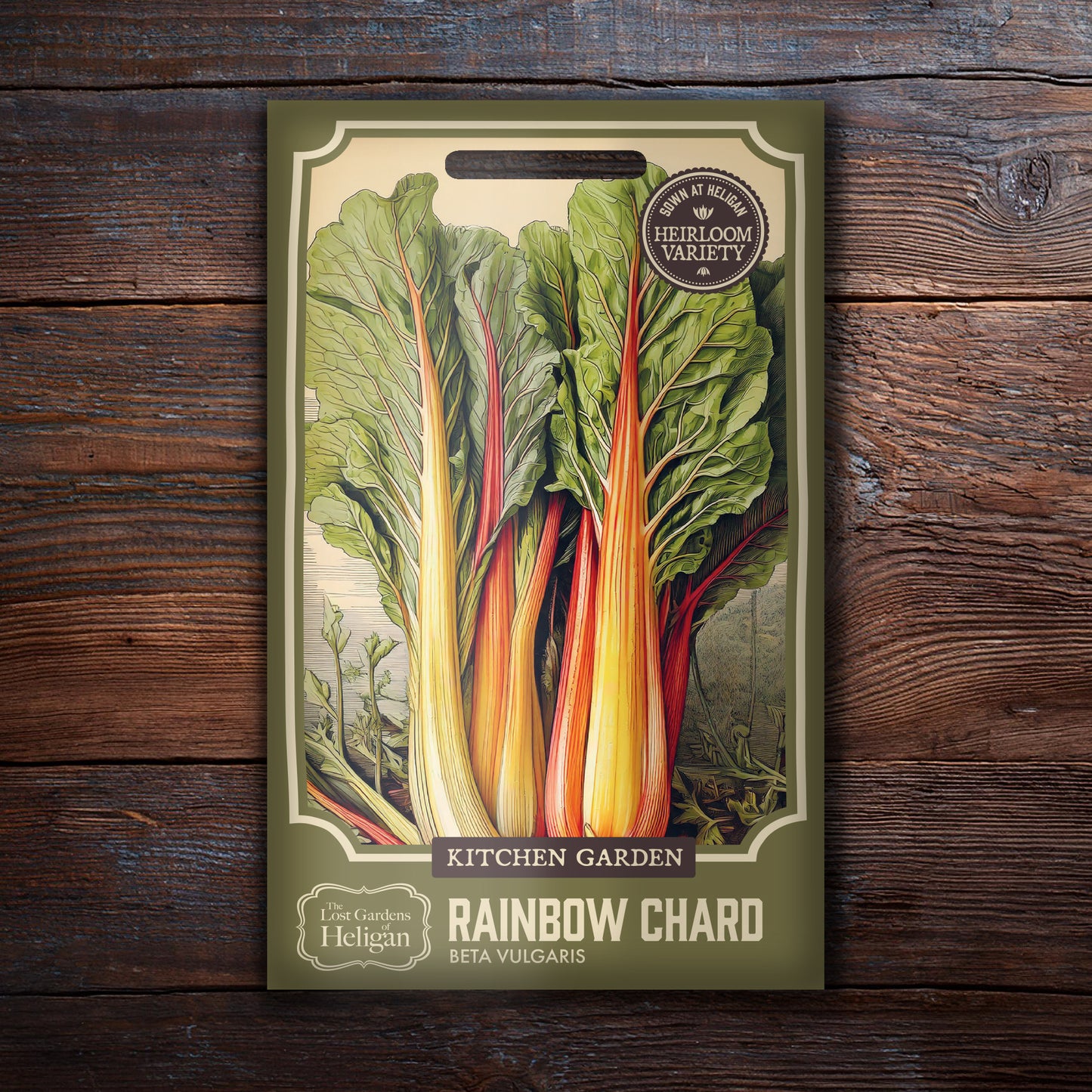 Rainbow Chard