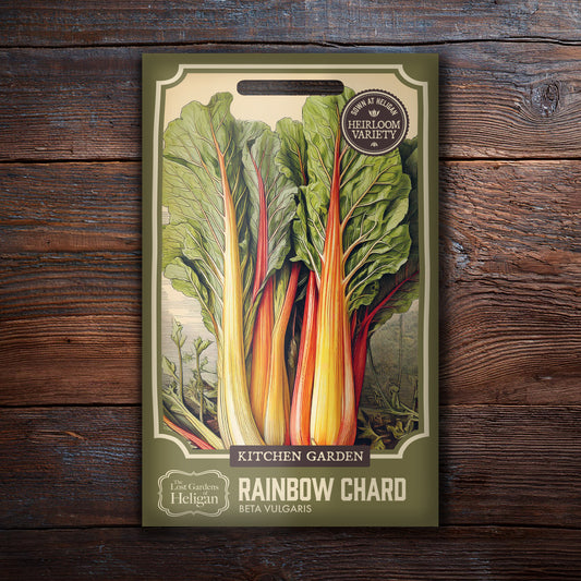 Rainbow Chard