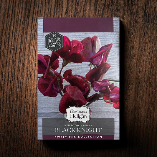 Heligan Heritage Sweet Pea Collection, Black Knight