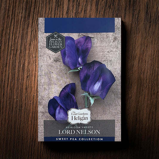 Heligan Heritage Sweet Pea Collection, Lord Nelson