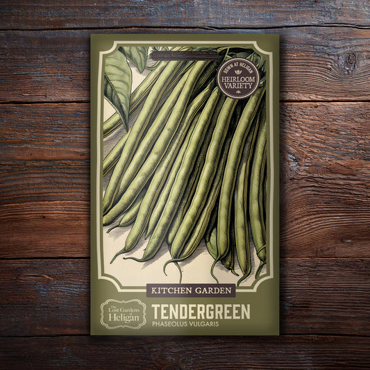 Tendergreen