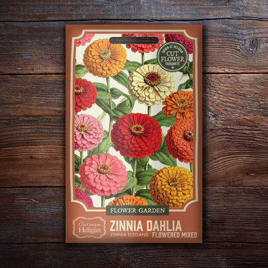 Zinnia Elegans